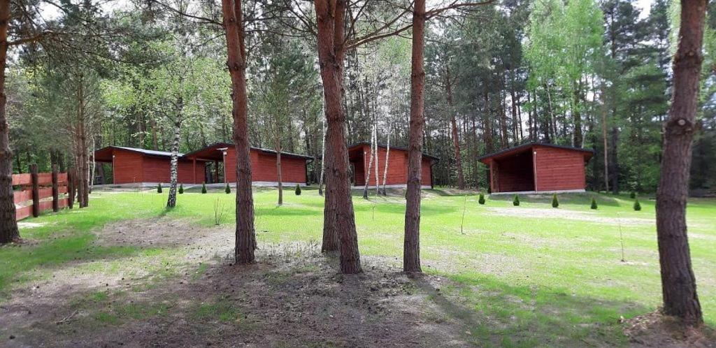 Domki Wrzosowe Wzgorza Nr2 Horyniec Kültér fotó