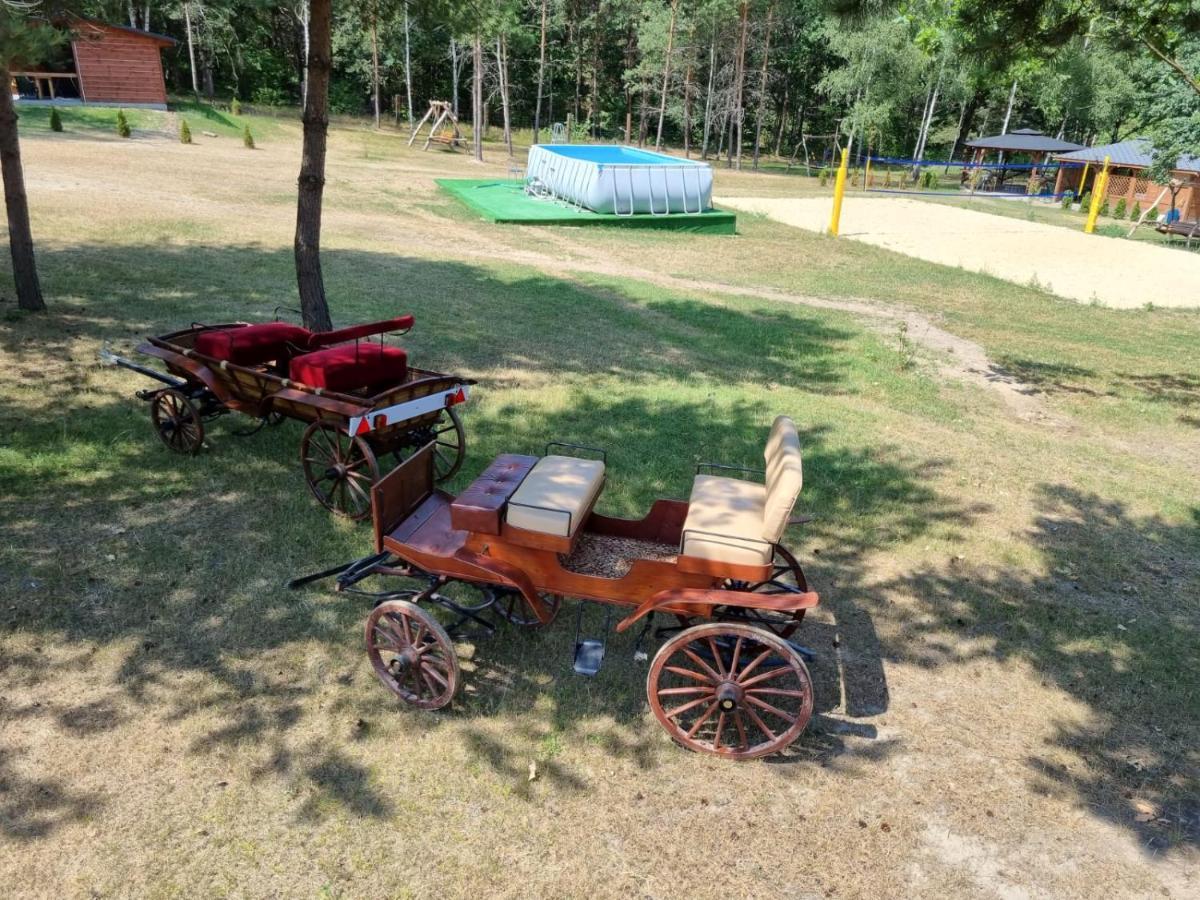 Domki Wrzosowe Wzgorza Nr2 Horyniec Kültér fotó
